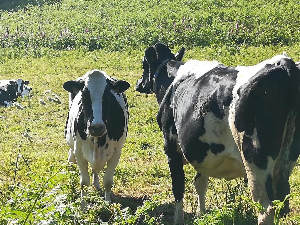 Le Gite Donemat Ploudalmézeau エクステリア 写真